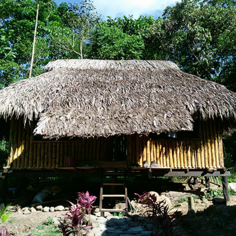 Eine Unterkunft im Dschungel in Ecuador