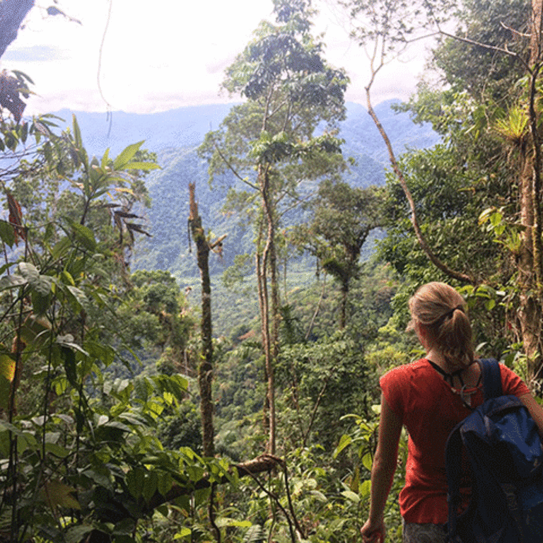 Freiwillige in Ecuador im Dschungel